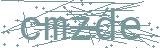 Fehler beim Laden des Captchas