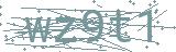 Fehler beim Laden des Captchas