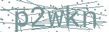 Fehler beim Laden des Captchas