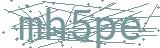 Fehler beim Laden des Captchas