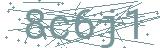 Fehler beim Laden des Captchas