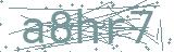 Fehler beim Laden des Captchas