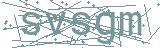 Fehler beim Laden des Captchas