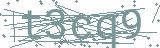 Fehler beim Laden des Captchas