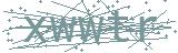 Fehler beim Laden des Captchas