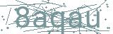 Fehler beim Laden des Captchas