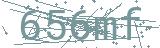 Fehler beim Laden des Captchas