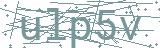 Fehler beim Laden des Captchas